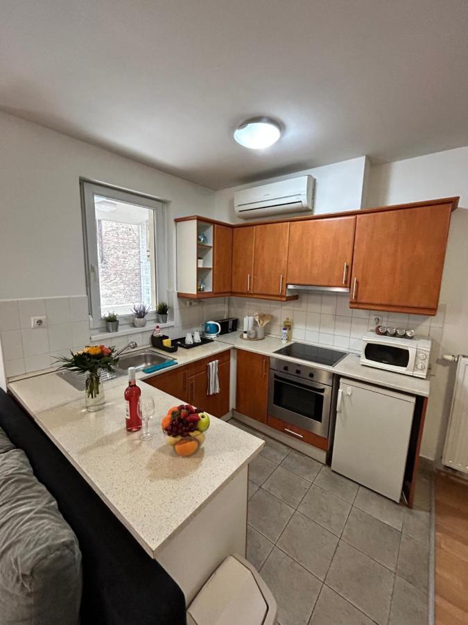 부다페스트 Danube Dwelling Akacfa 26 - Private Indoor Garage 아파트 외부 사진